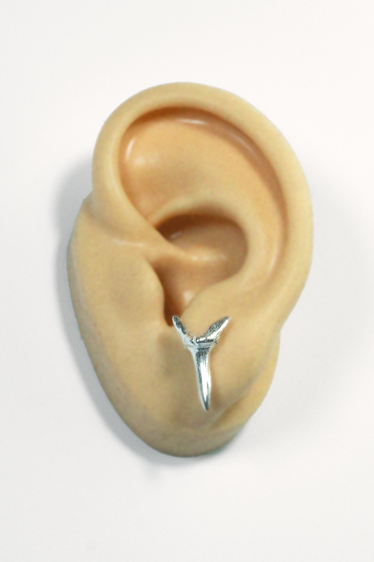 Shark tooth silver stud earrings